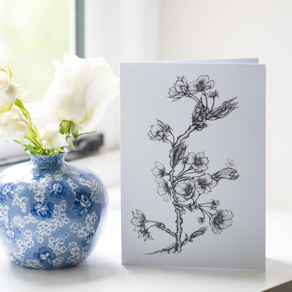 greeting card with botanical drawing of hawthorn blossom