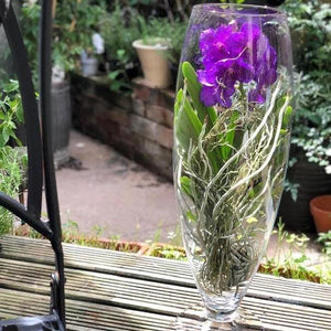 Vanda orchid in tall vase.