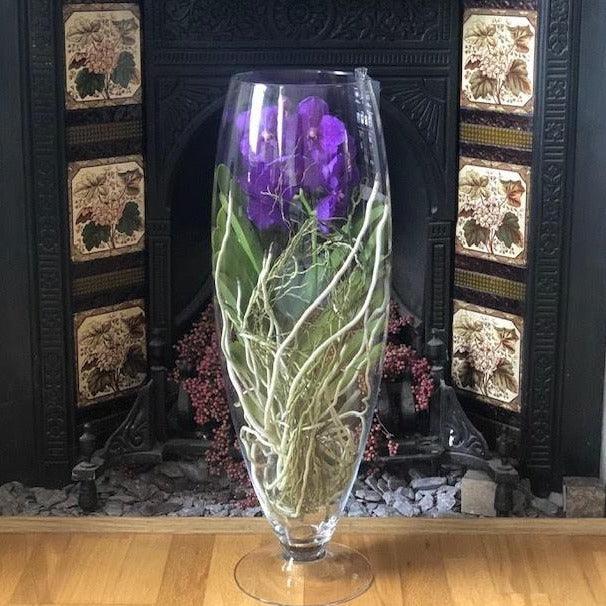 Giant Vanda Orchid Vase