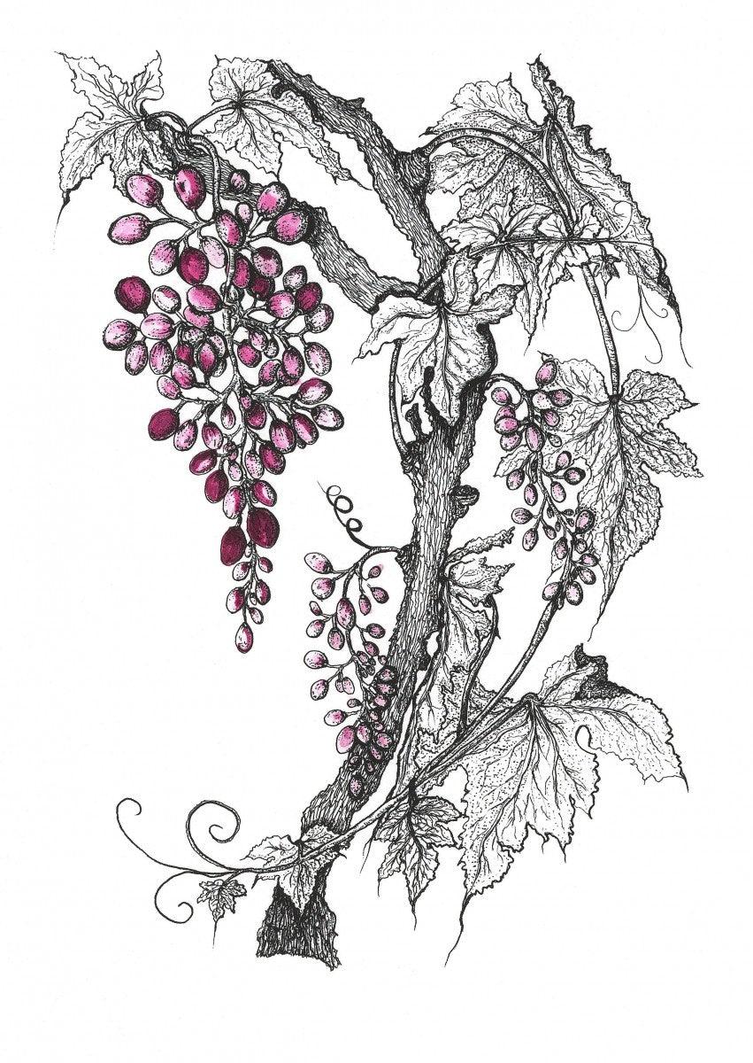 Grapevine in Burgundy Print