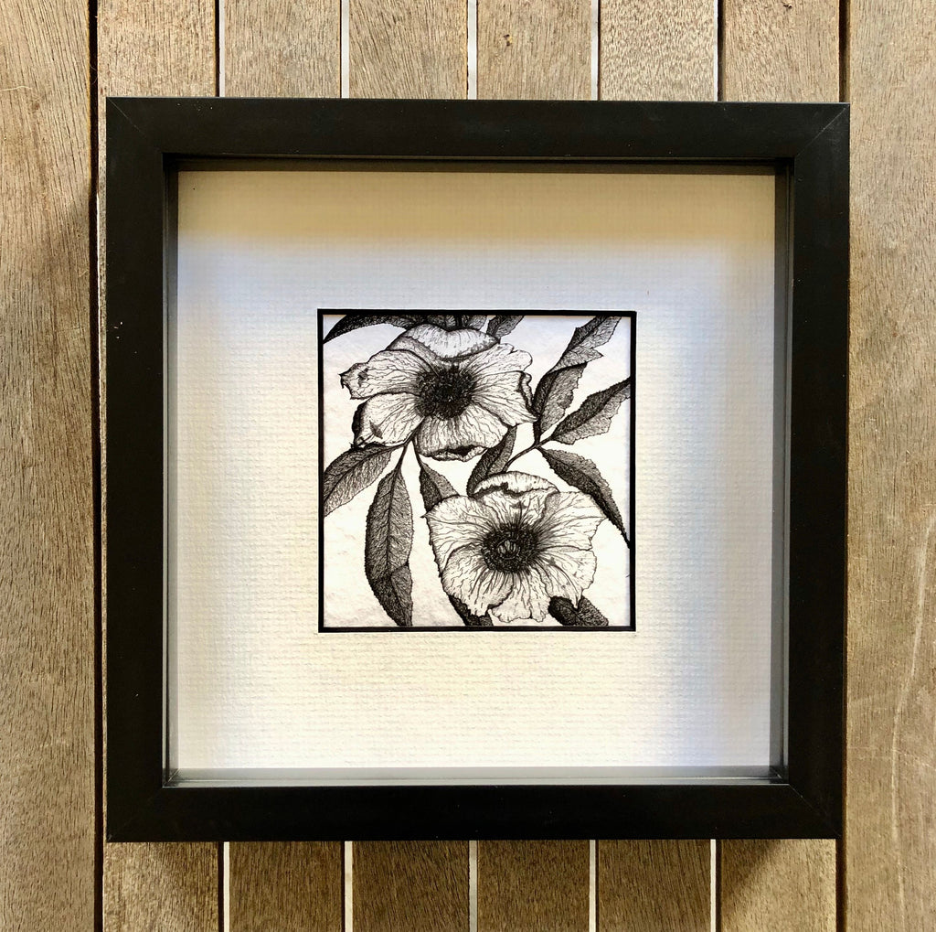 Detailed illustration of Hellebores in a black frame. 