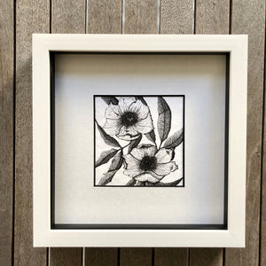 Detailed illustration of Hellebores in a white frame. 