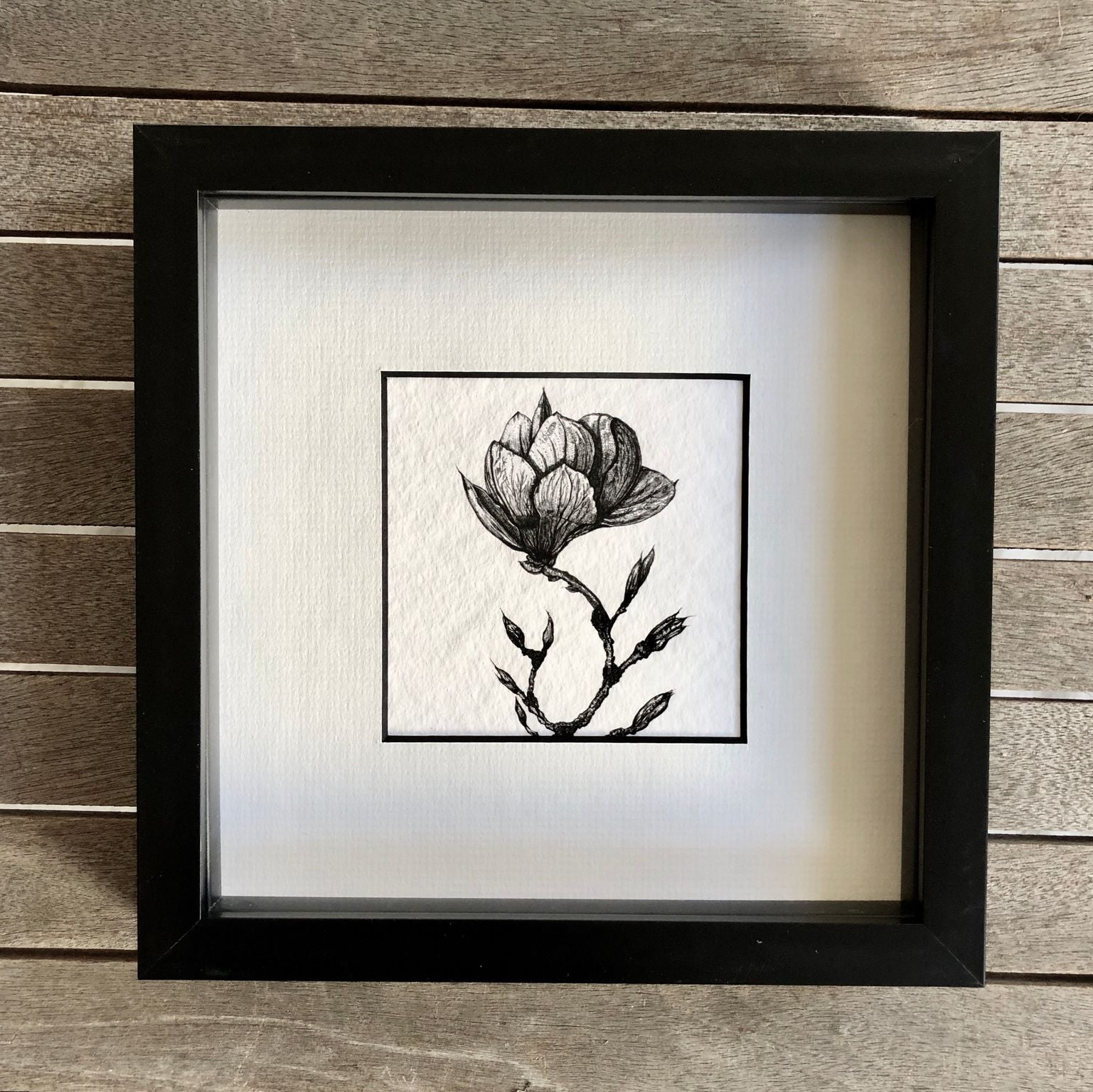 Magnolia drawing in a black frame 