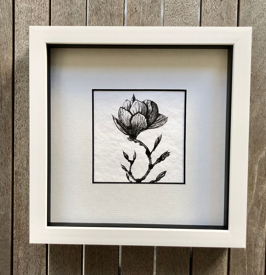 magnolia drawing in a white frame