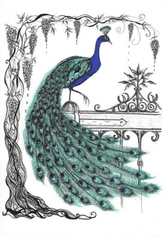 Peacock and Wisteria in Colour