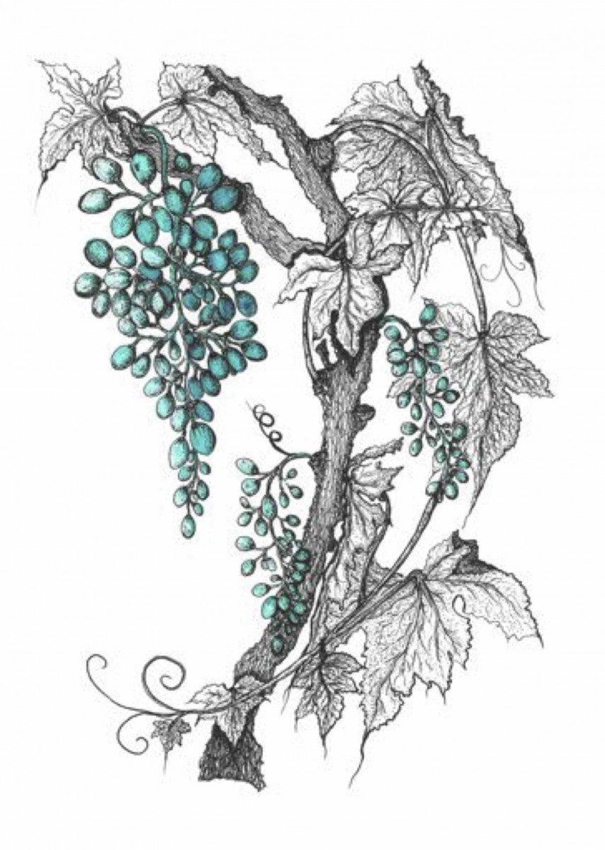 Grapevine Print in Teal