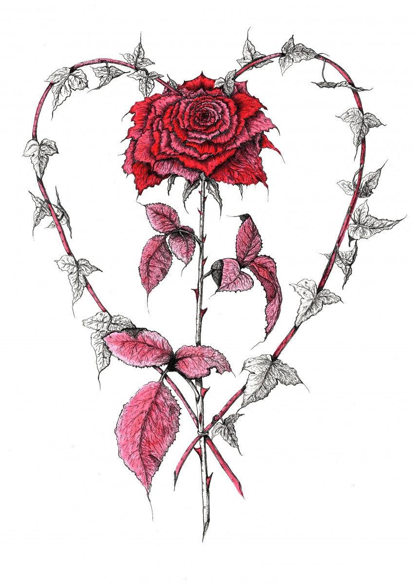 Ivy Heart with Cerise Rose, Vine and Leaves - Sarah Horne Botanicals