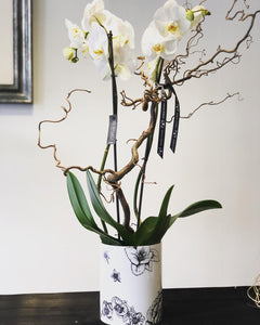 Botanical orchid vase