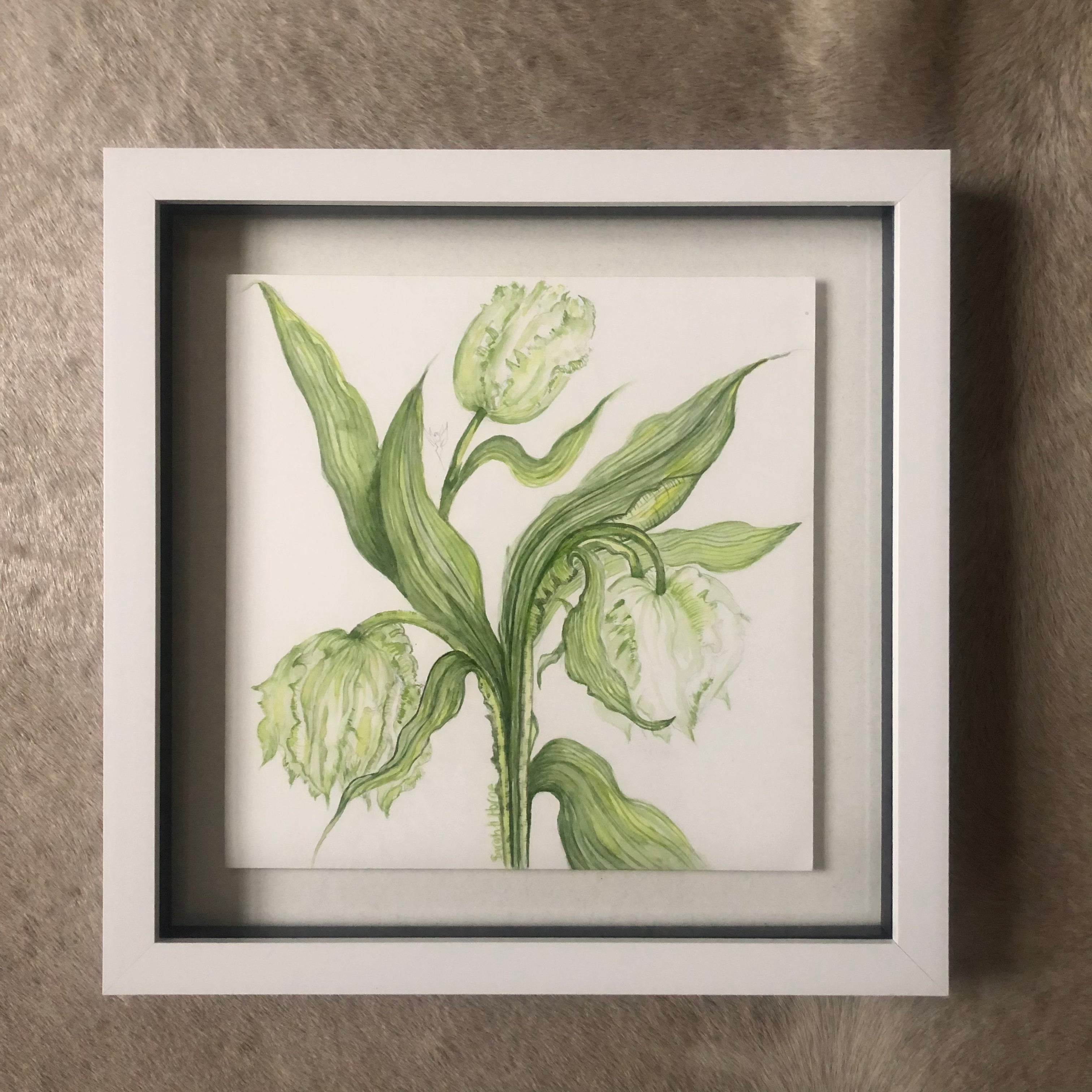 White Parrot Tulips Watercolour   SOLD