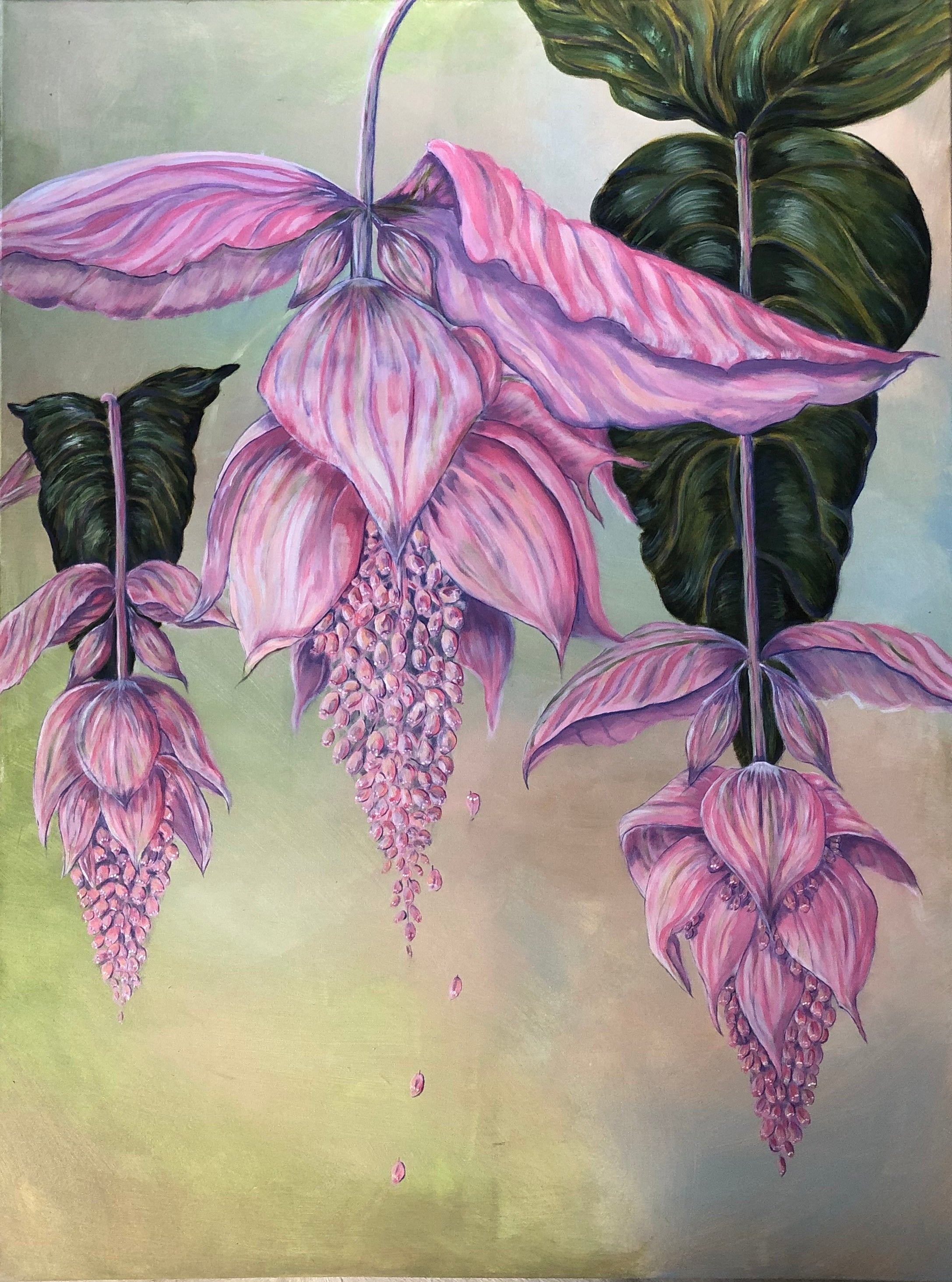 Botanical Portfolio 12th to 19th November 2022: Nova Fine Art