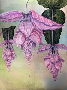 Botanical Portfolio 12th to 19th November 2022: Nova Fine Art - Sarah Horne Botanicals