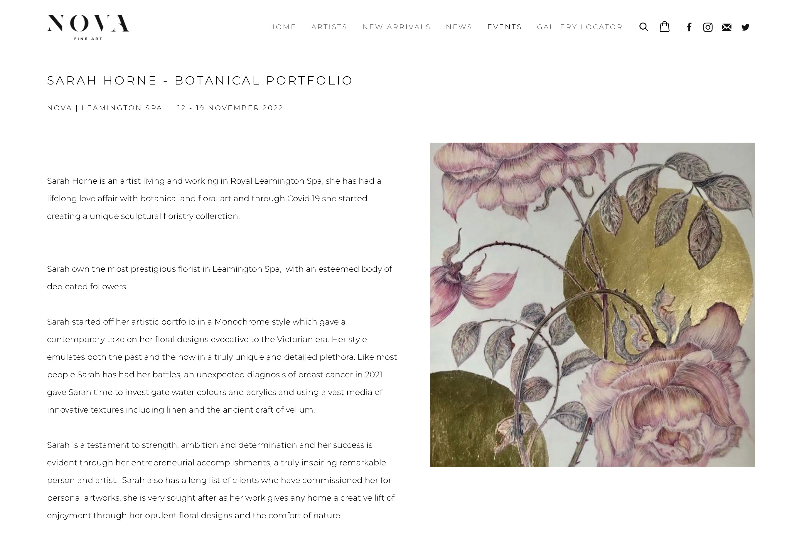 Botanical Portfolio 12th to 19th November 2022: Nova Fine Art - Sarah Horne Botanicals