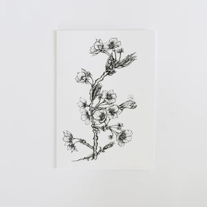 Hawthorn blossom card