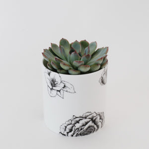 Petite Fine Bone China Vase - Sarah Horne Botanicals